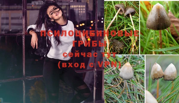 apvp Костерёво