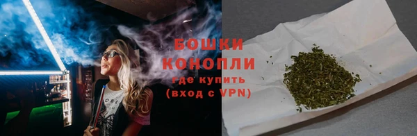 дурь Козельск